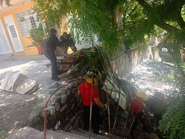🚓👮‍♂️👨‍🚒🚒 ¡Tu seguridad es nuestra prioridad!