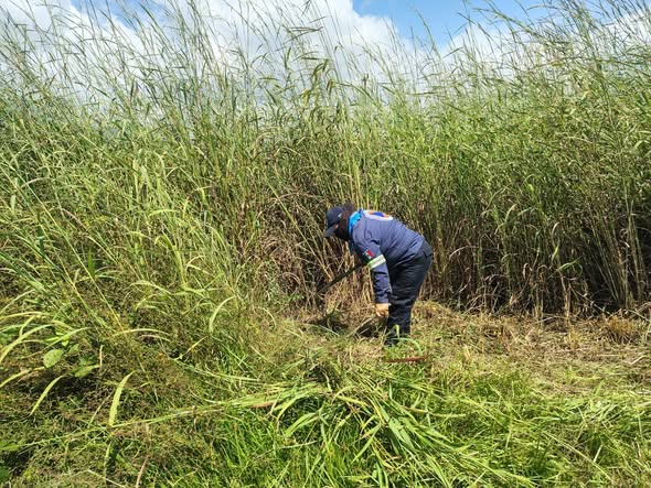 Elementos de Protección civil municipal realizan trabajos de limpieza y retiro de maleza en el hospital regional del Ocotito.