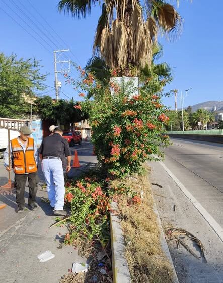 Aquí los reportes no se archivan, se atienden. 🚧🌿